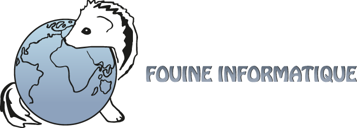 Fouine Informatique