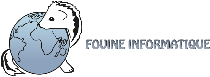 Fouine Informatique